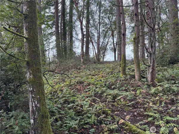 7719 Rosedale Street Nw, Gig Harbor, WA 98335