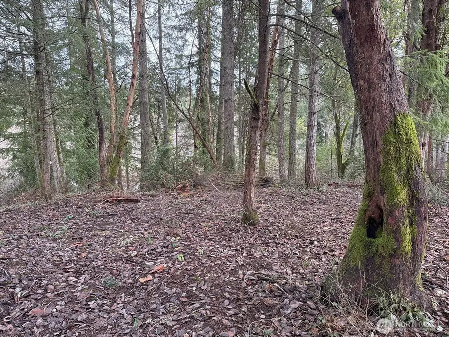 7719 Rosedale Street Nw, Gig Harbor, WA 98335 - #3