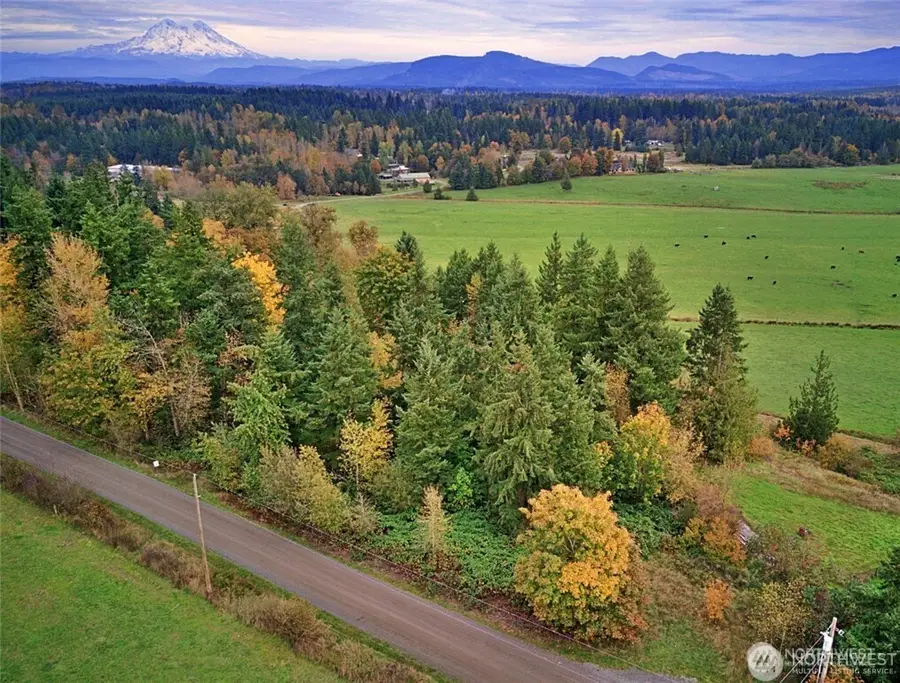 19441 Cougar Mountain Airport Road Se, Yelm, WA 98597 - Image #2