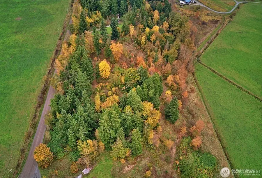 19441 Cougar Mountain Airport Road Se, Yelm, WA 98597 - Image #3