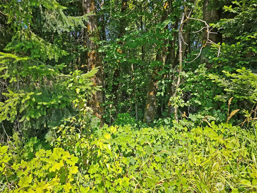 12624 183rd Avenue Sw, Rochester, WA 98579 - Image #3