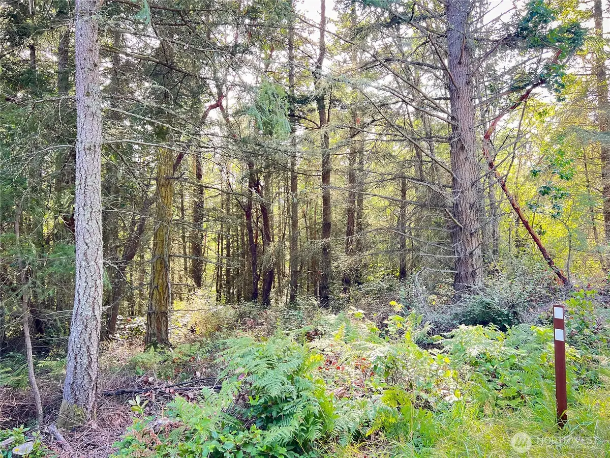 999 Cape George Rd #2, Port Townsend, WA 98368 - #1