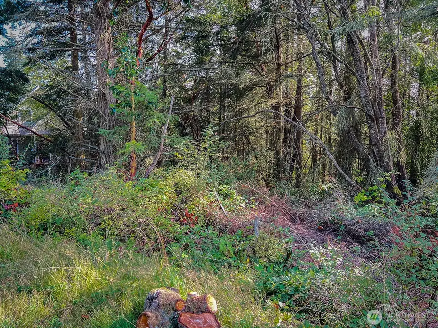 999 Cape George Rd #2, Port Townsend, WA 98368 - #2