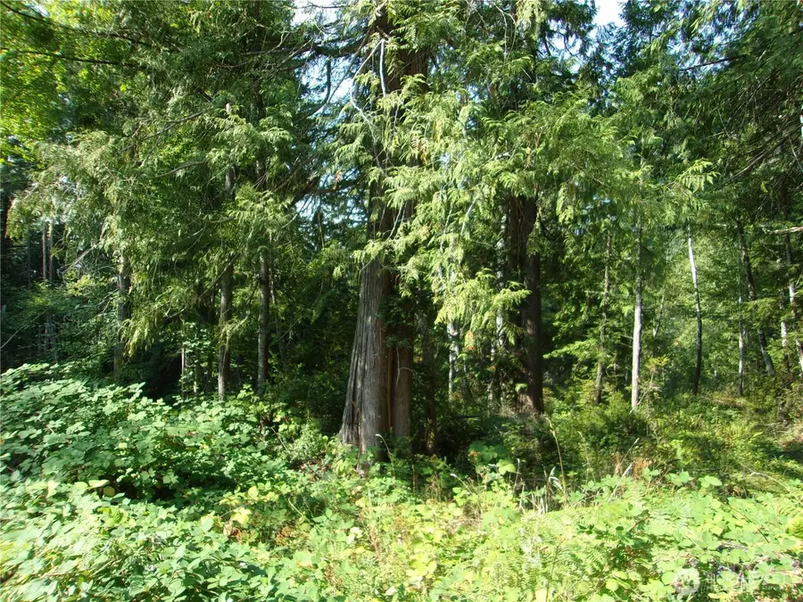 0 Yashi Road, Brinnon, WA 98320 - Image #2