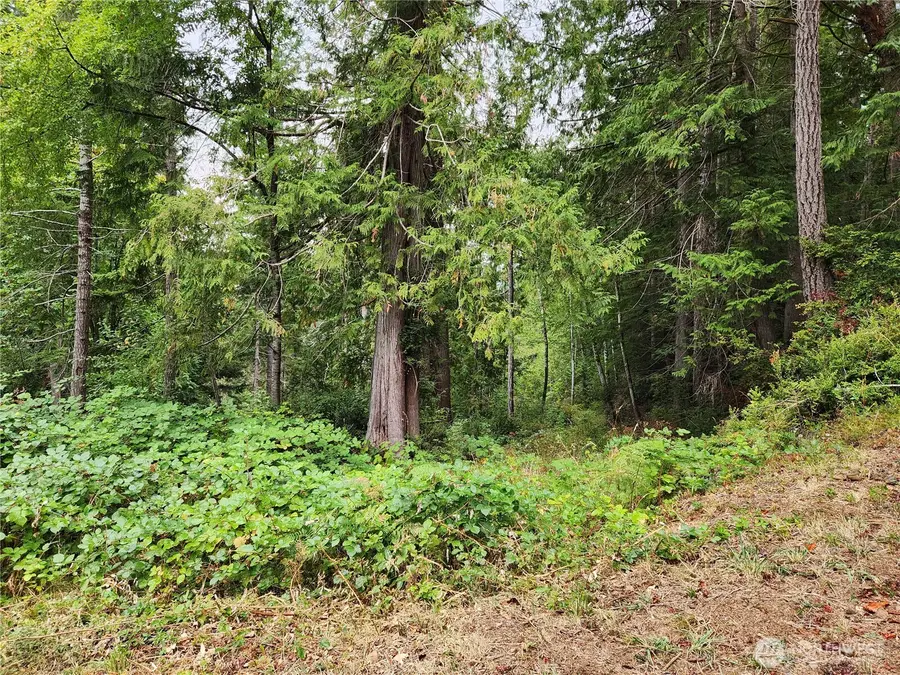 0 Yashi Road, Brinnon, WA 98320 - Image #3