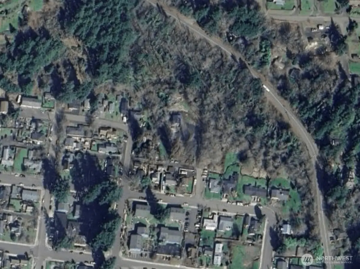 0 Henry, Shelton, WA 98584 - Image #1