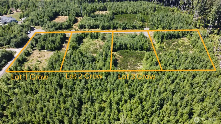9999 King Johns-lot 2 Crow Sp Way #2, Forks, WA 98331 - #3
