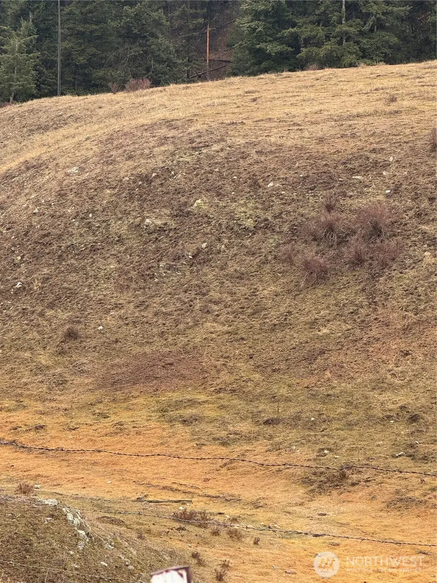 0 Lot 39 Mountain View #39, Oroville, WA 98844 - Image #3