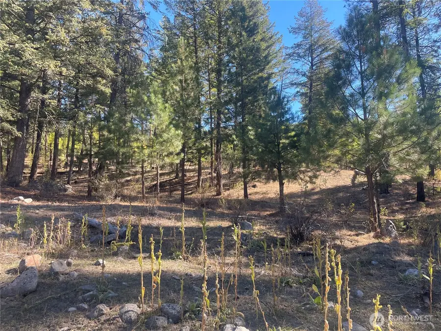 0 High Country Road W, Tonasket, WA 98855 - Image #3