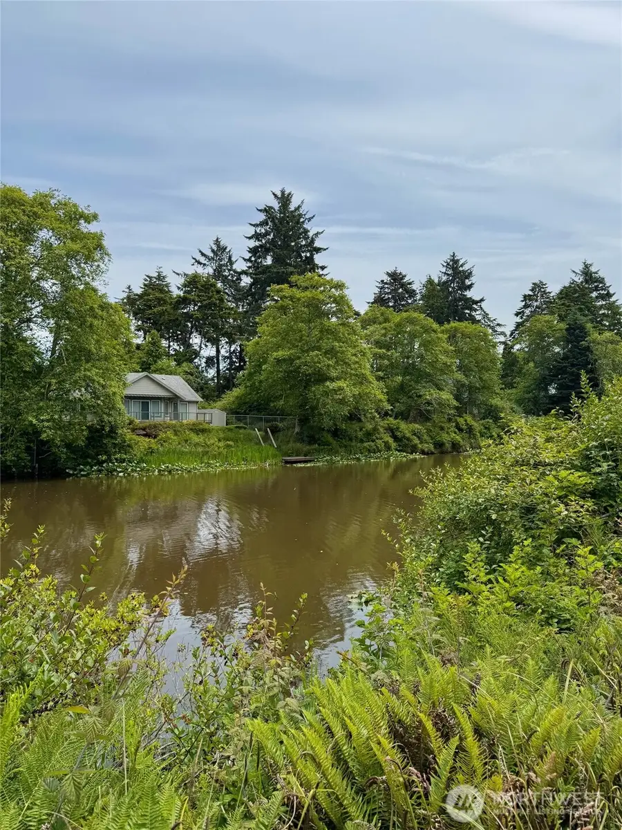 430 Dolphin Avenue Se #616, Ocean Shores, WA 98569 - Image #3