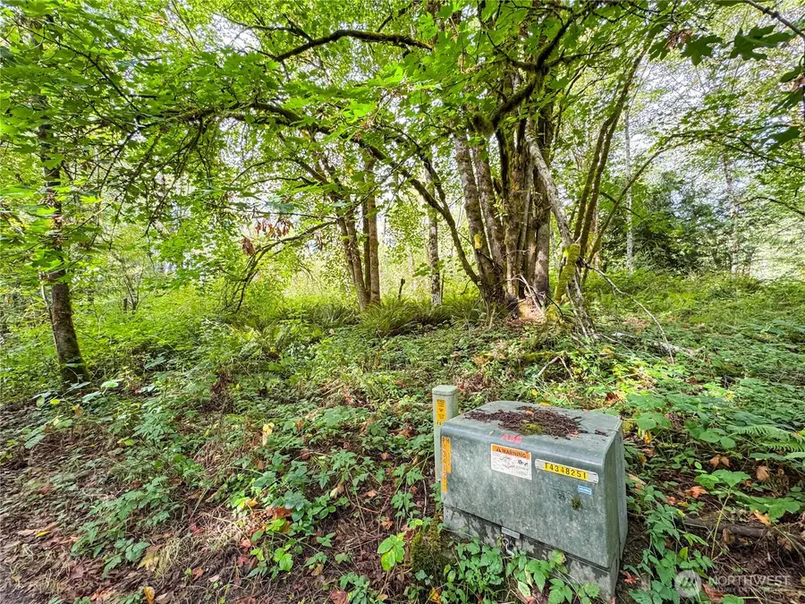 120 184th Avenue Ct Nw, Lakebay, WA 98349 - Image #2