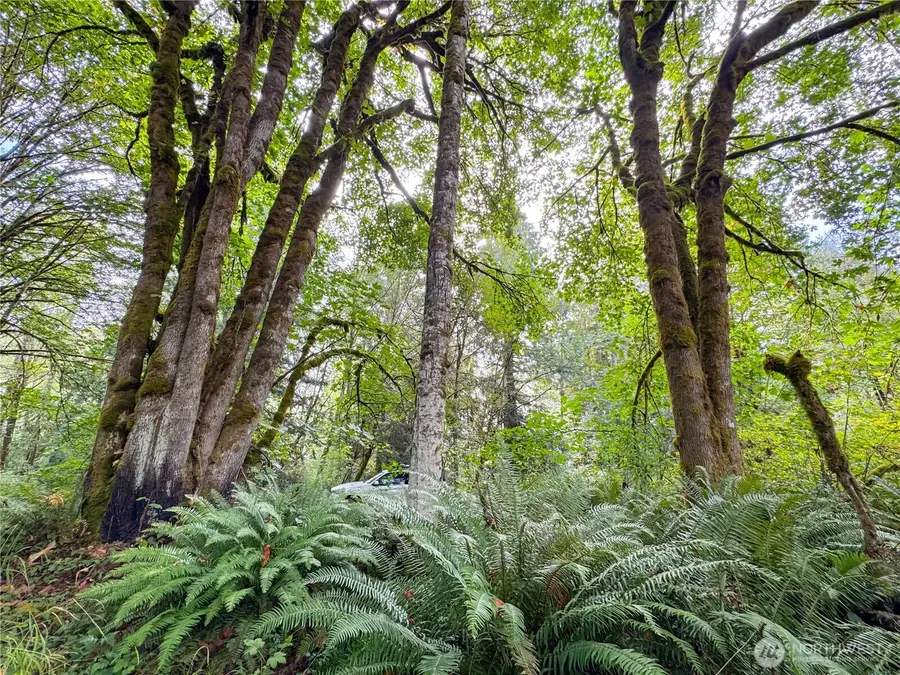 120 184th Avenue Ct Nw, Lakebay, WA 98349 - Image #3