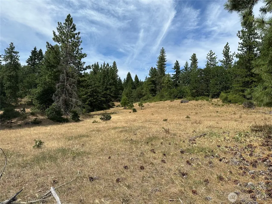 27 Greyback Mtn Road #27, Goldendale, WA 98620 - #3