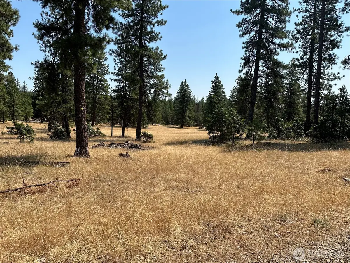 13 Greyback Mtn Road #Lot 13, Goldendale, WA 98620 - #1