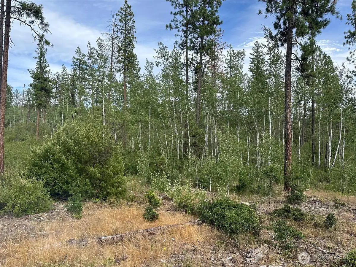 5 Greyback Mt Road #5, Goldendale, WA 98620 - #1