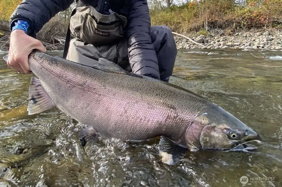 41 Waggler Way, Sequim, WA 98382 - Image #2