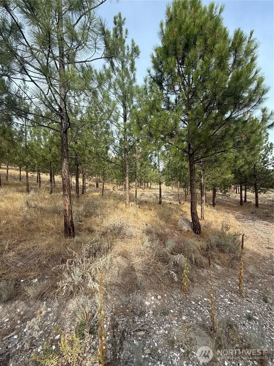 67 W Bannon Creek Road, Tonasket, WA 98855 - Image #2