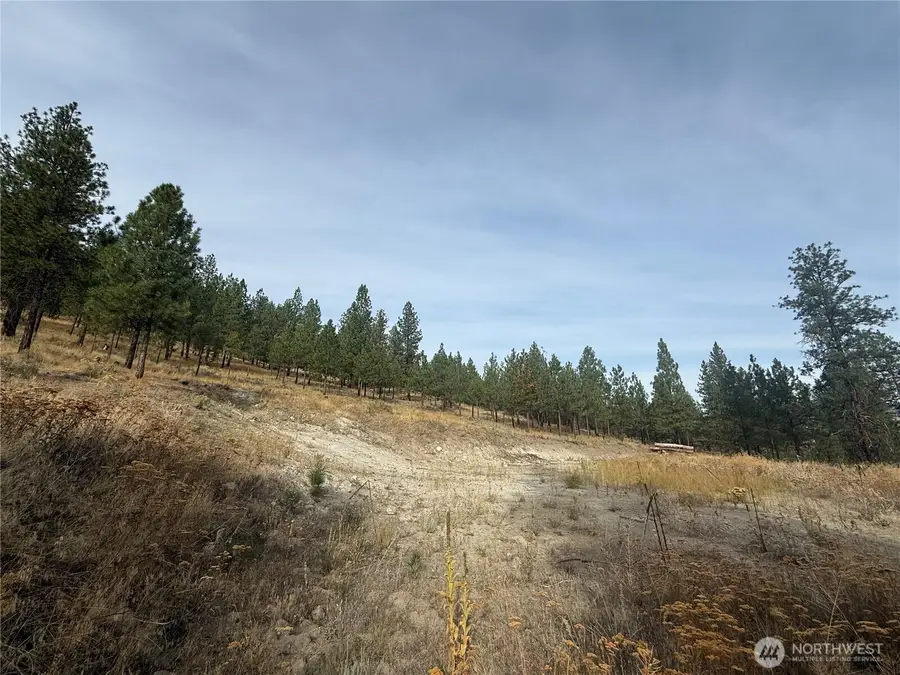 67 W Bannon Creek Road, Tonasket, WA 98855 - Image #3