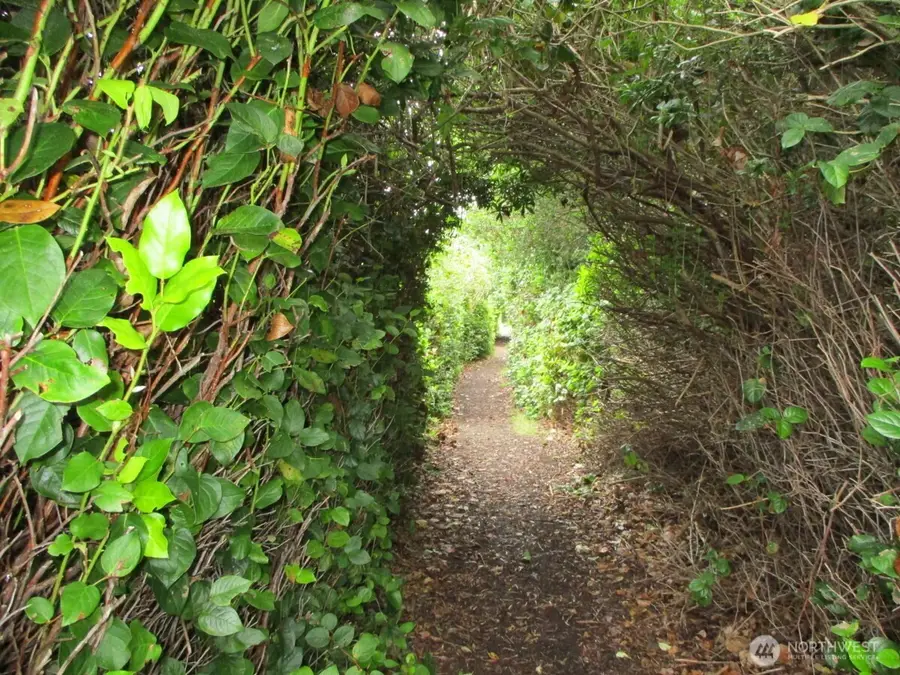 384 Marine View Drive Sw #17, Ocean Shores, WA 98569 - #3