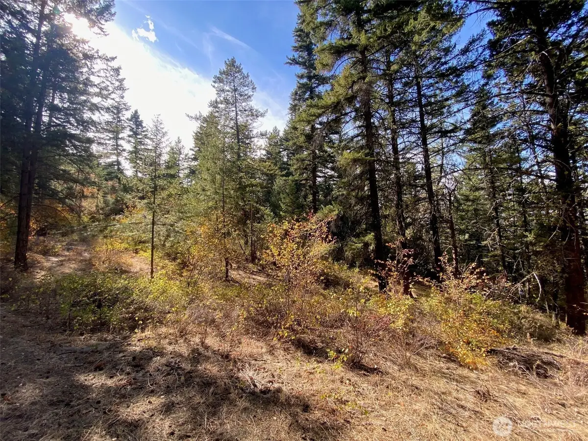 8888 Deer Creek Drive, Waterville, WA 98858 - Image #1