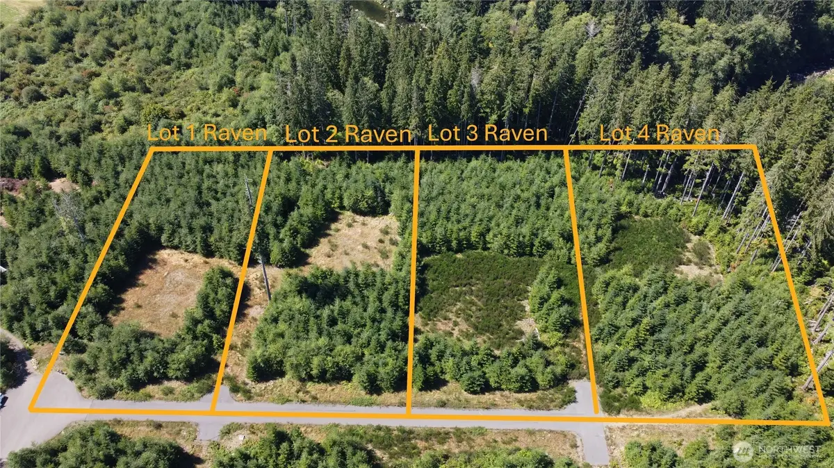 9999 King Johns-lot 3 Raven Way #3, Forks, WA 98331 - Image #1