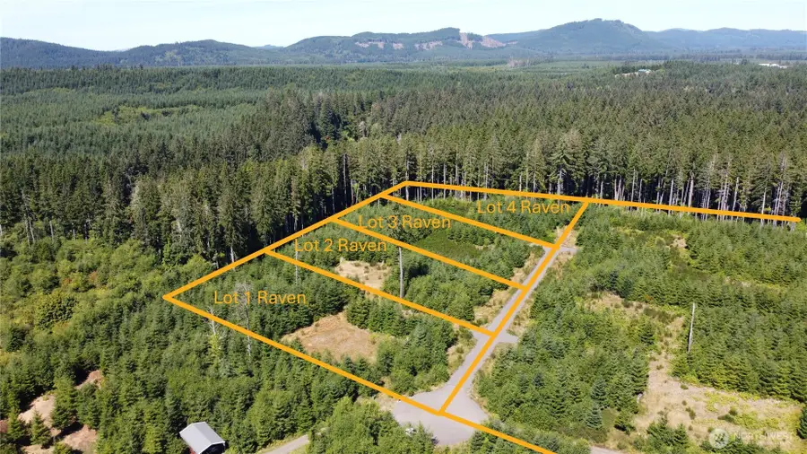 9999 King Johns-lot 3 Raven Way #3, Forks, WA 98331 - Image #2