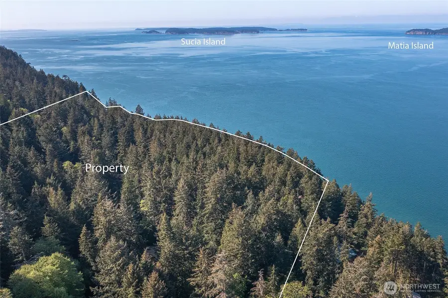 64 Barn Owl Trail, Orcas Island, WA 98245 - Image #3