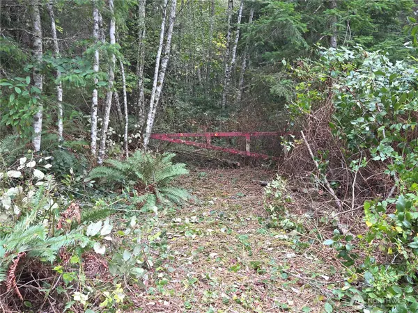 0 W Dry Lake Road #18 & 19, Camano Island, WA 98282