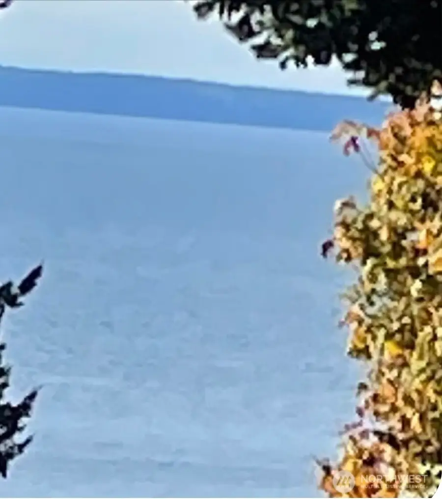 8795 Charel Drive, Blaine, WA 98230 - Image #3