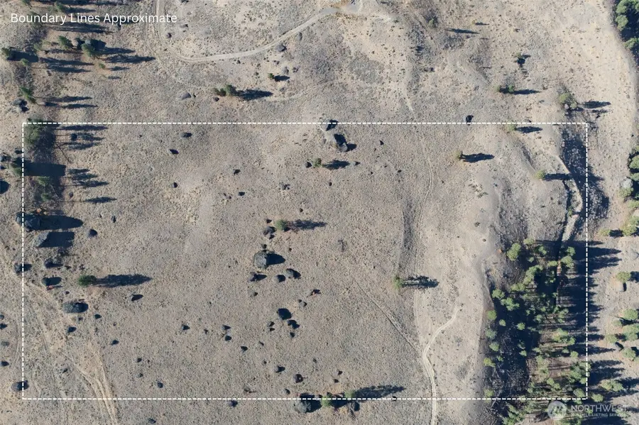 54 Wolf Holler Rd, Waterville, WA 98858 - Image #3