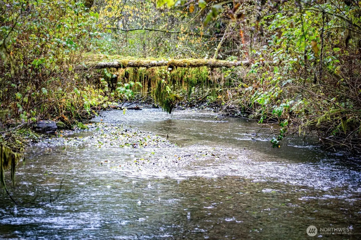 292 Sportsman Club Road, Forks, WA 98331 - Image #1