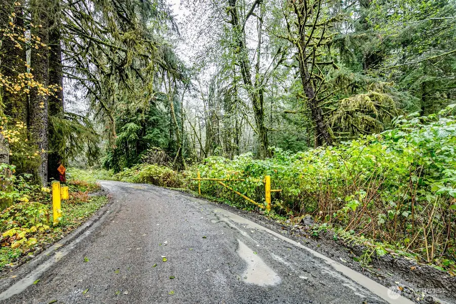 292 Sportsman Club Road, Forks, WA 98331 - Image #2