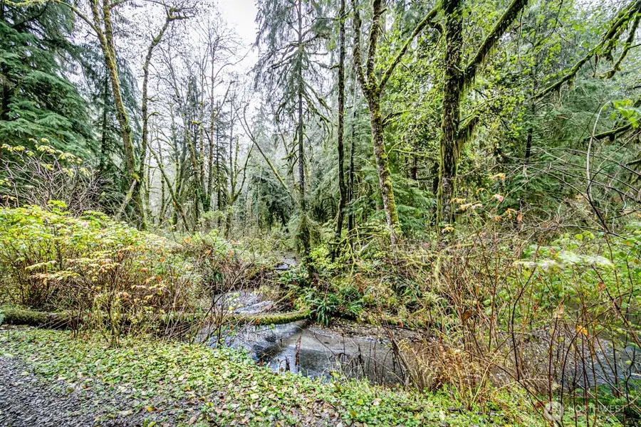 292 Sportsman Club Road, Forks, WA 98331 - Image #3