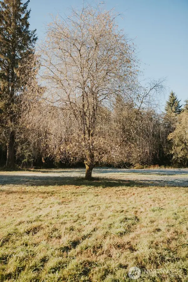 170 Sportsman Club Road, Forks, WA 98331