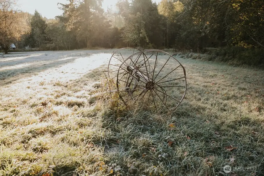 170 Sportsman Club Road, Forks, WA 98331 - Image #3