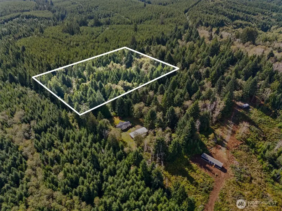 0 Rixon Road, South Bend, WA 98586 - Image #2