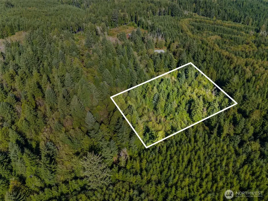 0 Rixon Road, South Bend, WA 98586 - Image #3