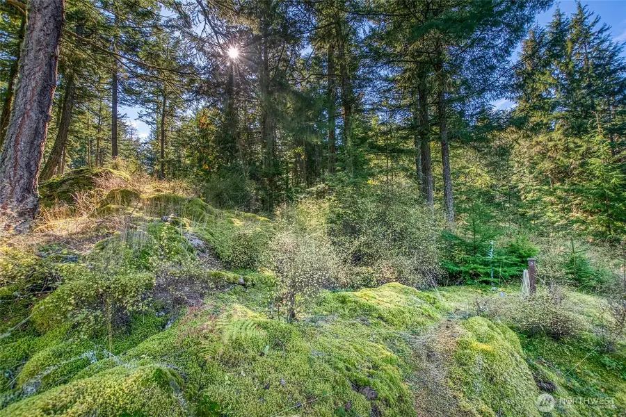 212 Eagle Lake Lane #5, Olga, WA 98280 - Image #3