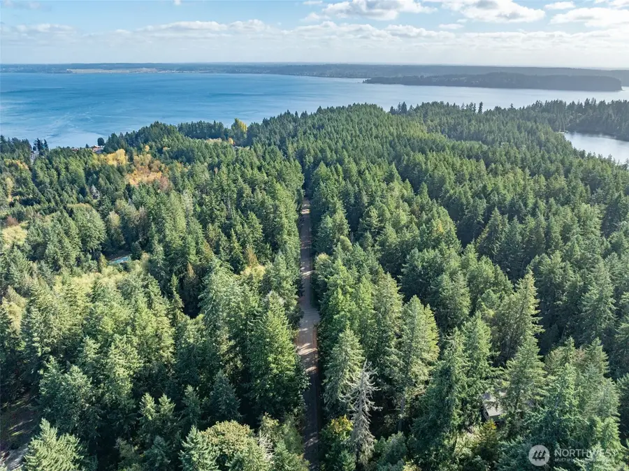 11316 Breaker Way, Anderson Island, WA 98303 - #2