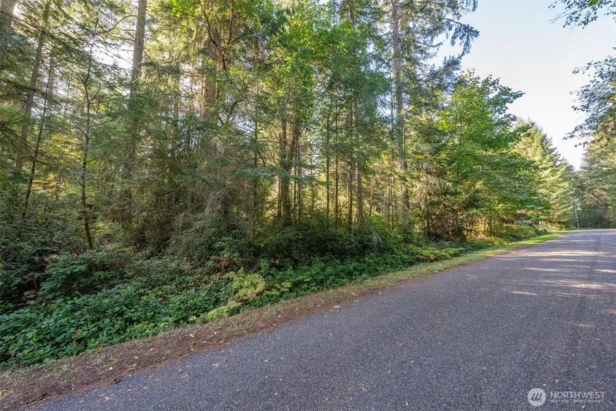11316 Breaker Way, Anderson Island, WA 98303 - #3