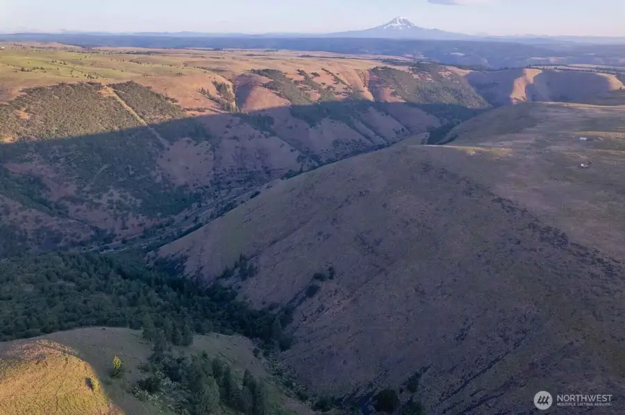 0 Fin Ridge Road, Centerville, WA 98613 - Image #2