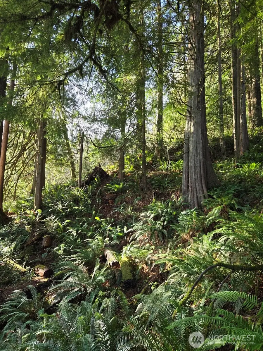 0 Kendrick And Wier Street, South Bend, WA 98586 - Image #3