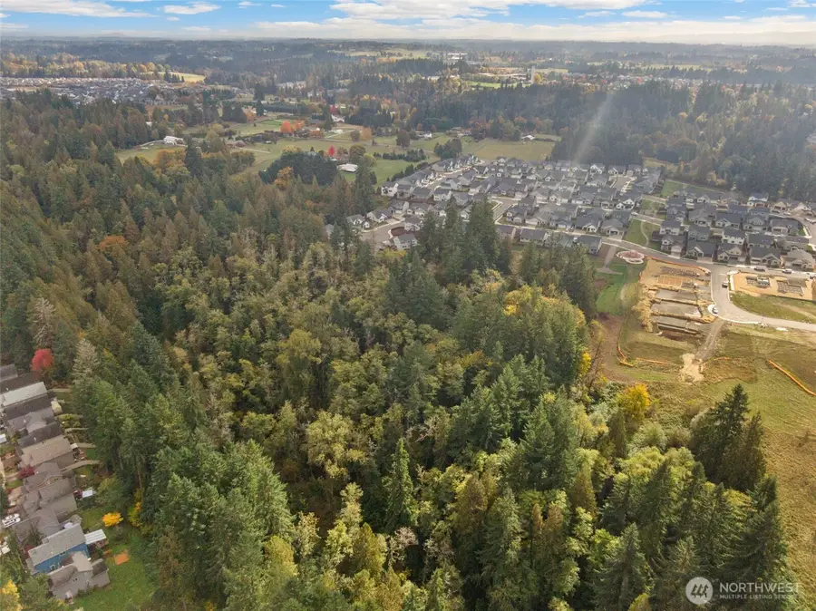 0 S 4th Drive, Ridgefield, WA 98642 - #3