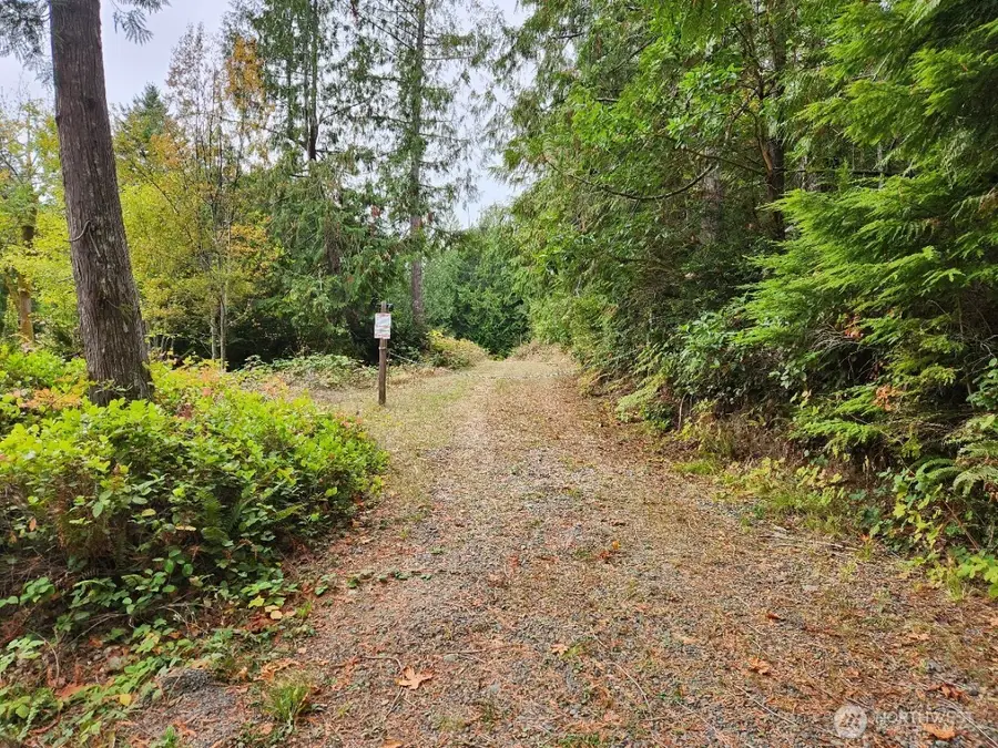 9999 Dusty Road #14, Brinnon, WA 98320 - Image #3