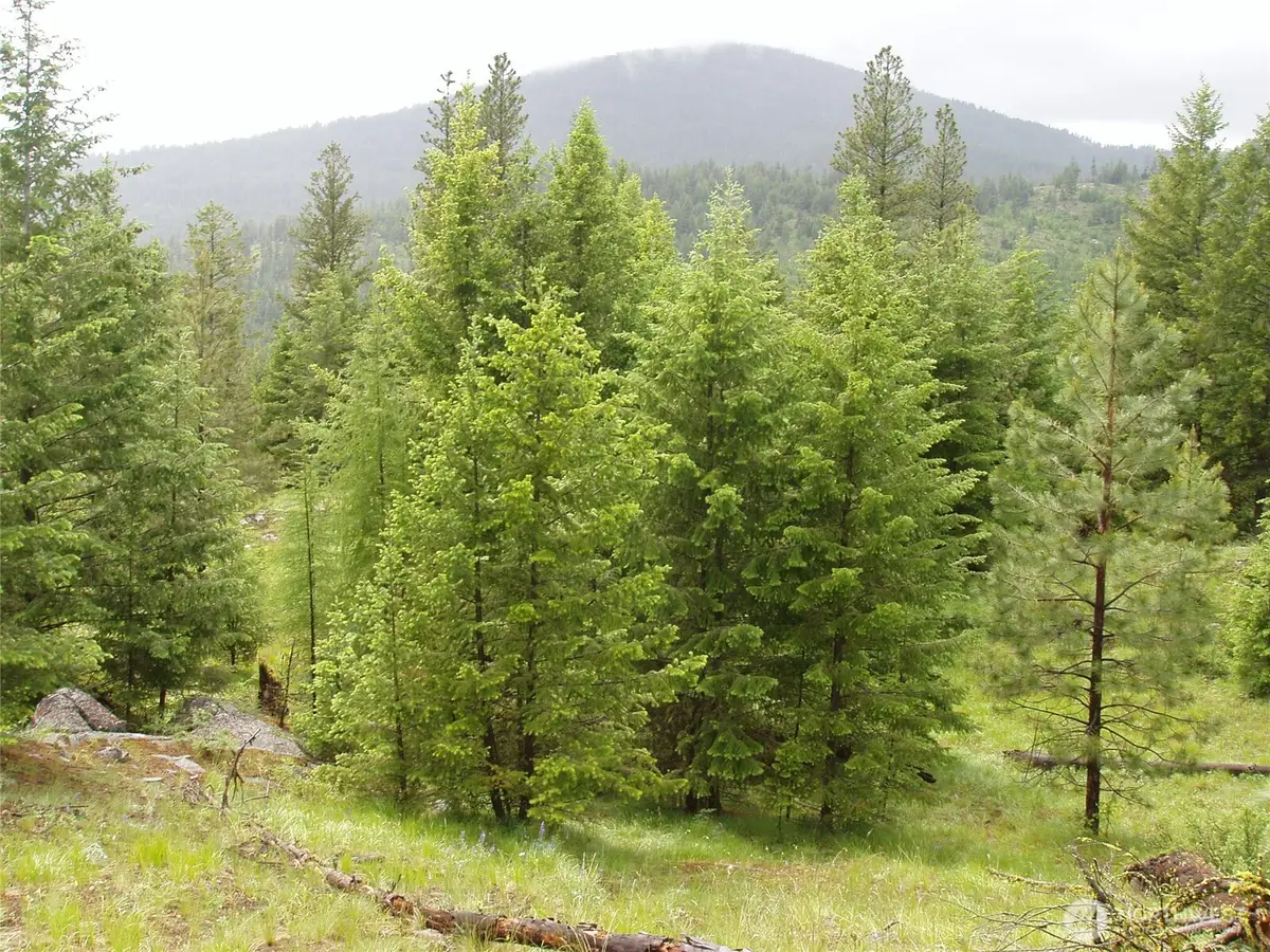 0 Turner Lake Road N, Tonasket, WA 98855 - Image #1