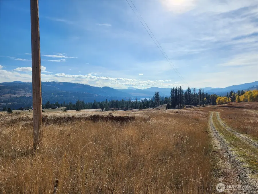 24 Spoke Lane #Lot 1, Republic, WA 99166 - Image #3