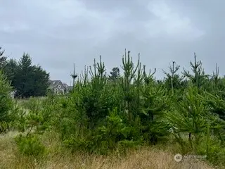 806 318th Place #9, 10 & 11, Ocean Park, WA 98640 - #2