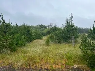 806 318th Place #9, 10 & 11, Ocean Park, WA 98640 - #3