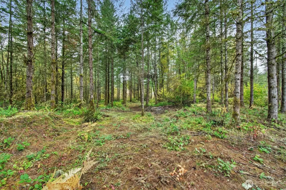 131 Kuty Drive, Ethel, WA 98951 - Image #1