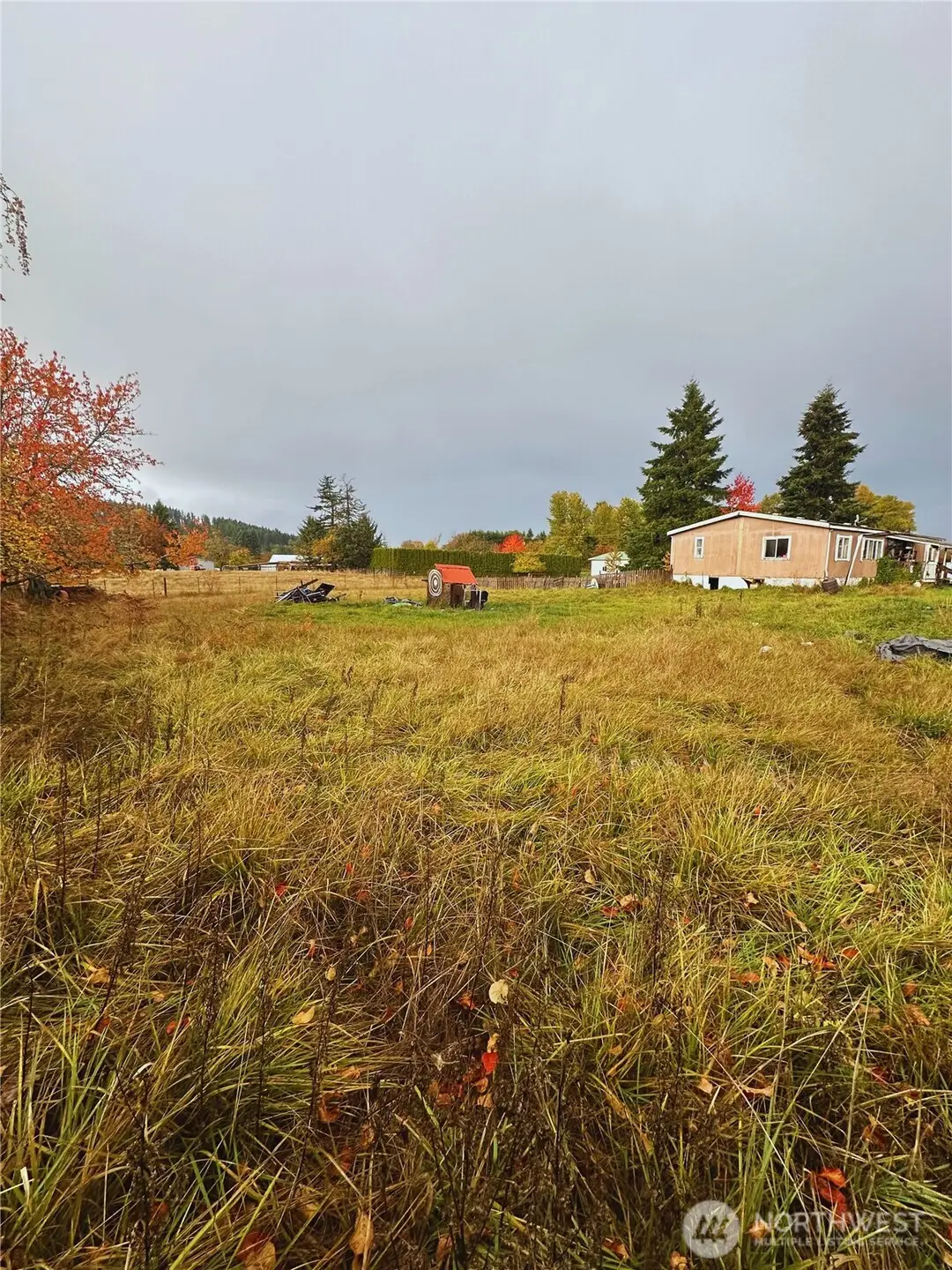 909 N 1st Street, Pe Ell, WA 98572 - Image #1